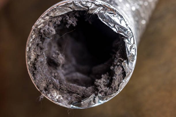 Best HVAC Duct Inspection Services  in Cleveland, GA